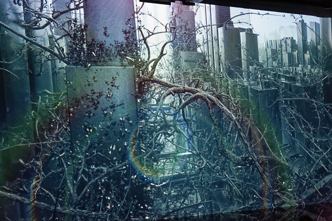 Bassins de lumières-Sorolla-Venise-120